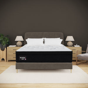 AM Brinkley 2.0 Euro Top 13.5" Mattress