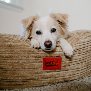 40 Inch Forever Dog Beds (Waterproof) - Terry Corduroy