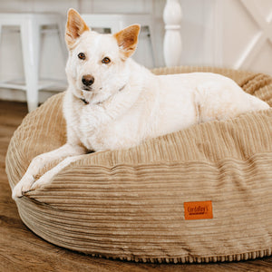 40 Inch Forever Dog Beds (Waterproof) - Terry Corduroy